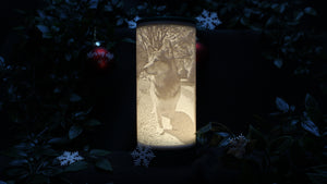 personalisierte Fotolampe mit glitzergrünem Deckel und Sockel