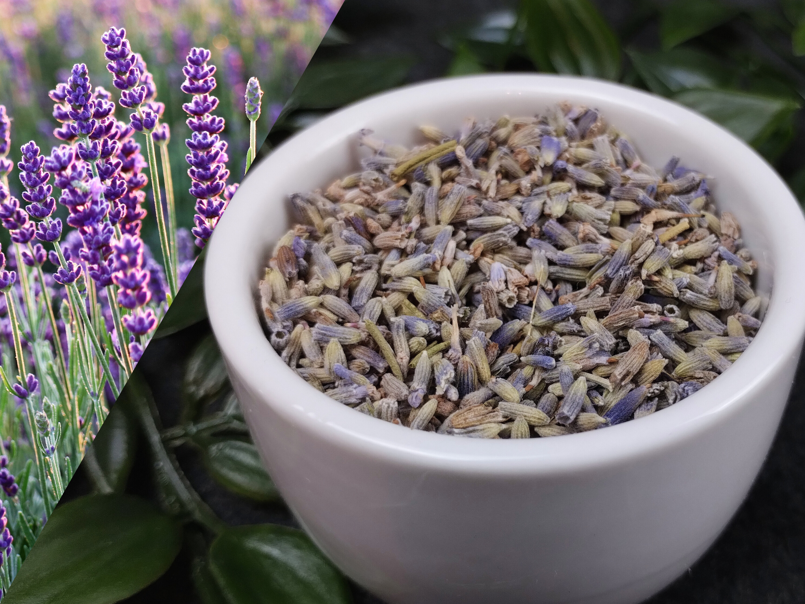 Füllung der Duftkissen mit Lavendel